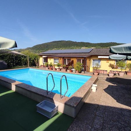 Appartamento Moselferienweingut Schaefer Wintrich Esterno foto