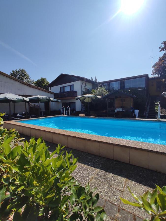 Appartamento Moselferienweingut Schaefer Wintrich Esterno foto