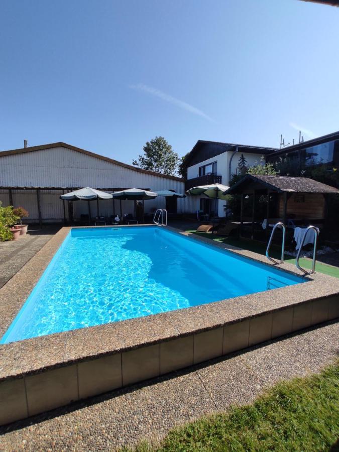 Appartamento Moselferienweingut Schaefer Wintrich Esterno foto