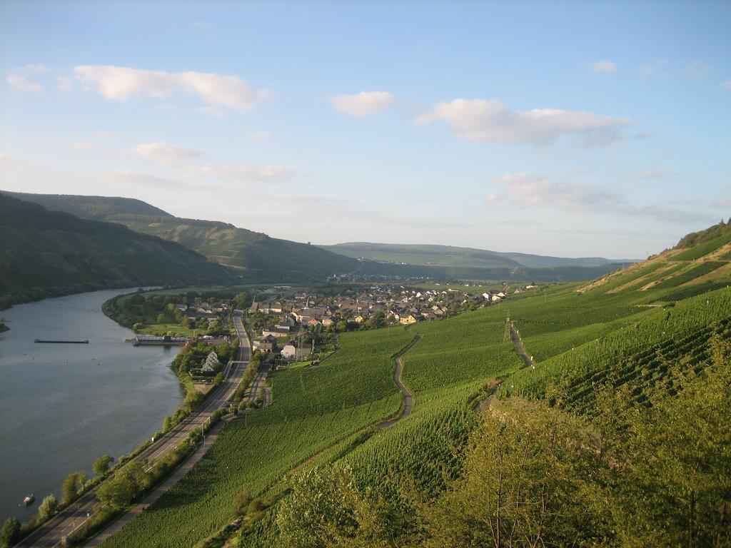 Appartamento Moselferienweingut Schaefer Wintrich Esterno foto